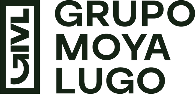 Grupo Moya Lugo